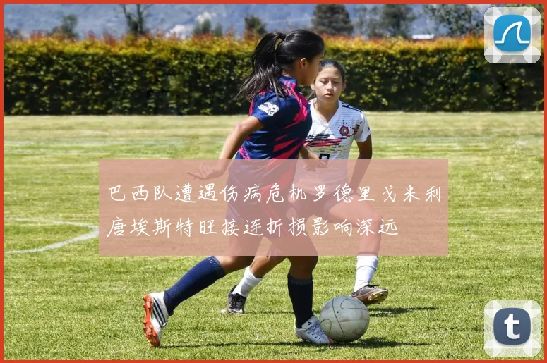 巴西队遭遇伤病危机罗德里戈米利唐埃斯特旺接连折损影响深远